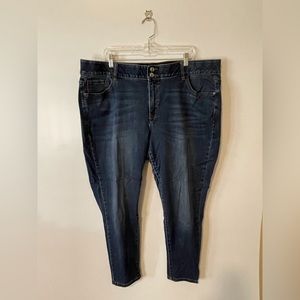 Venezia Exclusively From Lane Bryant Skinny Jeans Size 24S